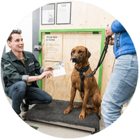Weegservice hond welkoop service